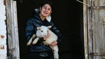 Devletten destek alan genç kadın hayvancılık için köyüne döndü