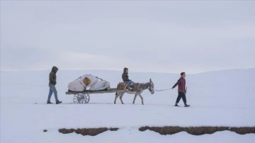 Doğu Anadolu'da soğuk hava nedeniyle dere, nehir ve şadırvanlar buz tuttu