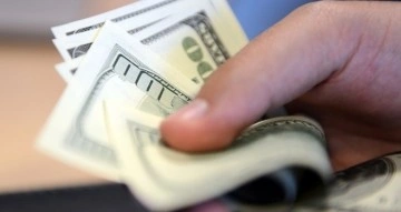 Dolar 9,01 seviyesinde