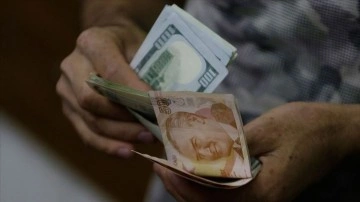 Dolar/TL Cumhurbaşkanı Erdoğan'ın açıklamaları ile yüzde 22,3 geriledi