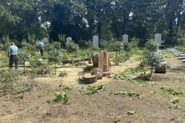 Edirnekapı Şehitliğinde İBB’nin kestiği ağaçlar mezarlığın üzerine devrildi