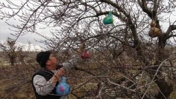 El sanatları ustası çift, yabani kuşlar için su kabağından yuva yapıyor