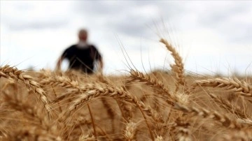 Emtia piyasasında ralli haftası yaşandı