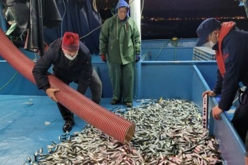 Gır gır teknelerine 'balık boyu' denetimi