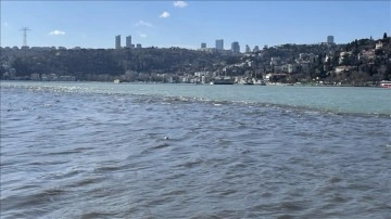 Göksu Deresi'nden akan çamur İstanbul Boğazı'nın rengini değiştirdi