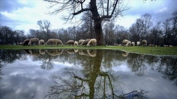 Gölyaka Kültür Park'ında bazı alanlar karların erimesiyle su altında kaldı