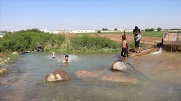 Güneydoğu'da sıcak hava etkili oldu