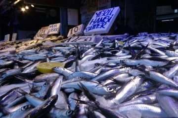 Hamsi vatandaşın da balıkçının da yüzünü güldürüyor