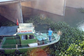 Hatay’da Asi Nehri’ni kaplayan su sümbülleri temizleniyor