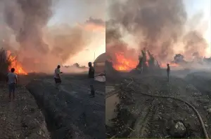 Hatay’da sazlık alanda yangın korkuttu