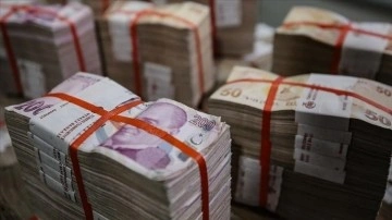Hazine ve Maliye Bakanlığı 75,2 milyar liralık iç borçlanmaya gidecek