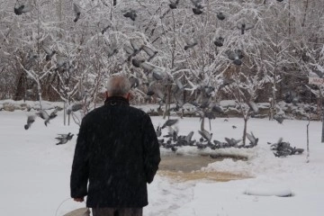 Her yıl kuşlar aç kalmasın diye 3 ton yem alıyor