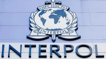 Interpol Başkanlığına BAE'den Ahmed Nasser Al Raisi seçildi