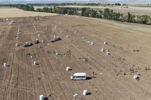 İşçilerin karınca gibi çalışması havadan görüntülendi