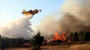 İspanya ve Portekiz'i etkilemesi beklenen sıcak hava dalgası orman yangını riskini artıracak