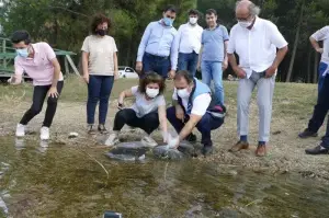 İstanbul’da 14 gölette 573 bin 500 adet sazan yavrusu bırakıldı