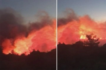 İzmir’de orman yangını: çok sayıda ekip müdahale ediyor