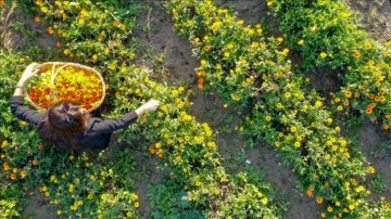 İzmirli kadınlar aynısefa ile yurt dışına açıldı