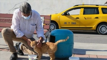 İzmirli taksici 'mama kutusu'nda biriken parayla sokak kedilerine bakıyor