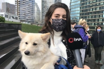 Kadıköy’de lüks sitede köpek besleyen hayvansevere tehdit: 'Samuray kılıcıyla doğrarım'