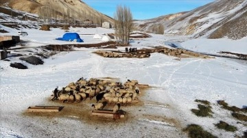 Kar ve soğuğa rağmen geçim kaynağı hayvanlarının ihtiyaçlarını aksatmıyorlar
