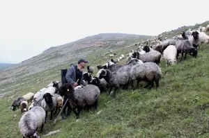 Karadeniz'in son sürü sahipleri