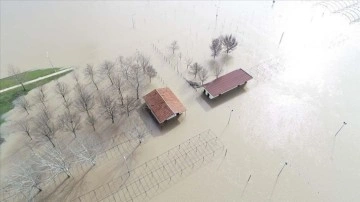 Kırklareli'nde Ergene Nehri taştı, tarım arazileri su altında kaldı