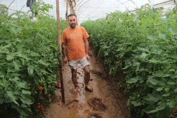 Kumluca'da sel yaklaşık 2 bin dönüm seraya zarar verdi