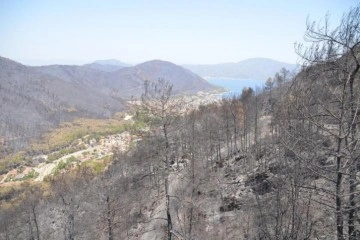 Marmaris’te yangın çalıştayı yapılacak