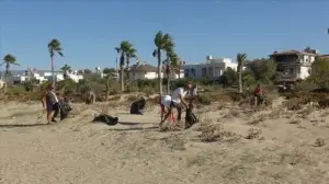 Mersin'de deniz kaplumbağalarının yaşam alanları temizlendi