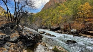 'Munzur Vadisi Milli Parkı' güz renklerine büründü