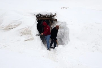 Muş’ta bir köy kara gömüldü, açtıkları tünellerle ulaşımı sağlıyorlar