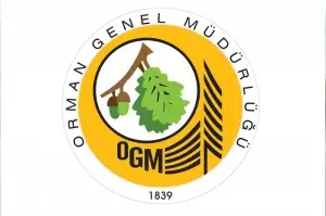 OGM: 'Bugün çıkan 7 orman yangınının tamamını kontrol altına aldık'