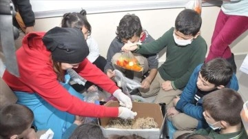 Öğrenciler 'Çöp Müzesi' projesiyle atıklardan gübre ve sabun üretti