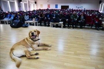 Öğrenciler eğitimli köpek 'Fox' ile hem eğleniyor hem bilinçleniyor