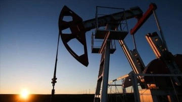 OPEC'in petrol üretimi kasımda arttı