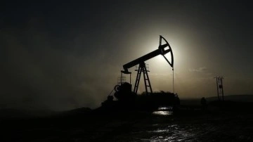 OPEC'in petrol üretimi ocakta arttı