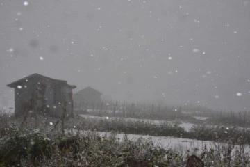 Ordu’nun yükseklerinde kar yağışı