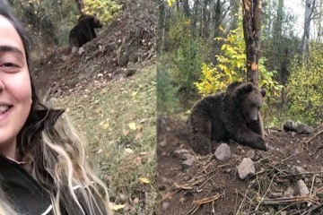Orman muhafaza memuru genç kadın ayı ile özçekim yaptı