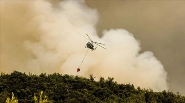 Orman yangınlarıyla mücadelede uluslararası iş birliği hedefleniyor