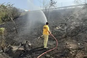 Otoyol kenarında çıkan örtü yangını büyümeden söndürüldü