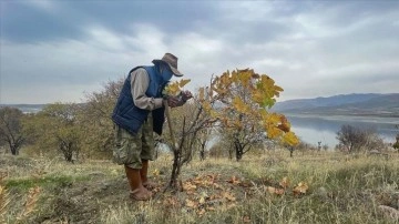 Robinson Ziya'dan kuraklık ve erozyona karşı 'fidan dikin' çağrısı