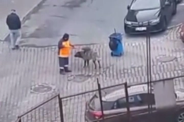 Sultangazi'de temizlik işçisi ile köpeğin dostluğu yürek ısıttı