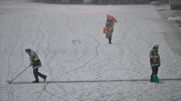 Tokyo'da yoğun kar yağışı yaşamı olumsuz etkiledi