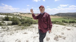 Türkiye'nin önde gelen bitki bilimcisi Prof. Dr. Mecit Vural 48 yıldır bitkilerin izini sürüyor