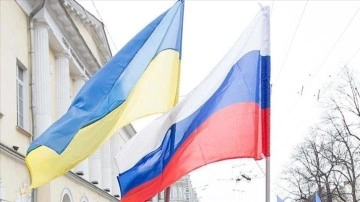 Ukrayna: Türkiye'nin Rusya-Ukrayna krizinde arabuluculuk teklifinin potansiyeli var