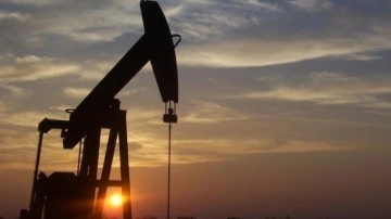 Uluslararası Enerji Ajansı, küresel petrol talebindeki artış öngörüsünü sabit tuttu