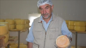 Unutulmaya yüz tutan 'çoban peyniri'ni yeniden üretip sofralara taşıdı